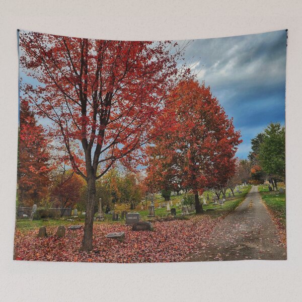 Aperçu de l'œuvre La mortalité fait signe - Paysage de cimetière d'automne abandonné créée et vendue par TwistedP-Photos.