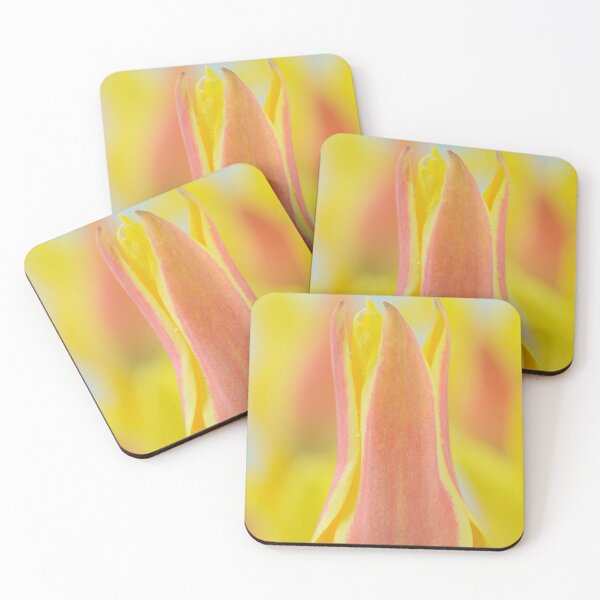 Item preview, Tulipa kolpakowskiana  AGM  Kolpakowsky's tulip  Miscellaneous tulip  designed and sold by Chris Burrows.