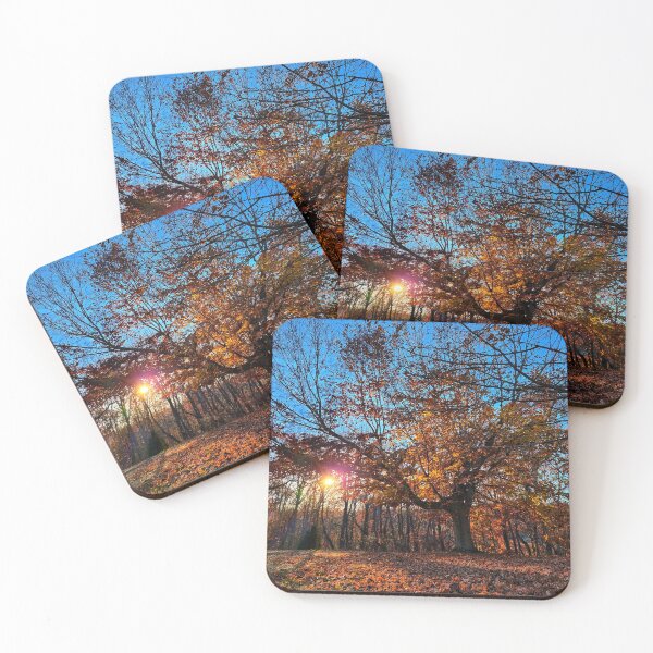 Item preview, Late Autumn Forest Sunset Photograph designed and sold by TwistedP-Photos.
