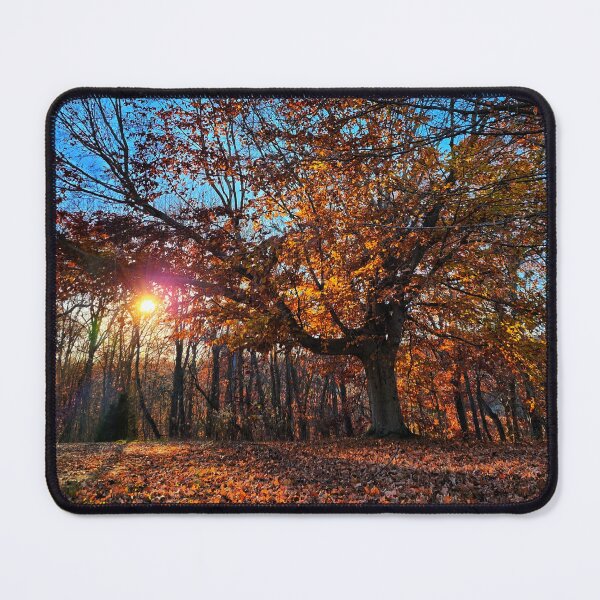 Item preview, Late Autumn Forest Sunset Photograph designed and sold by TwistedP-Photos.