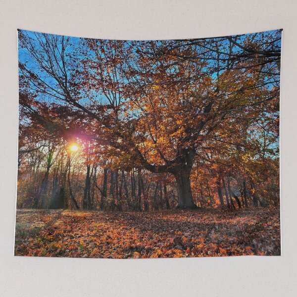 Item preview, Late Autumn Forest Sunset Photograph designed and sold by TwistedP-Photos.