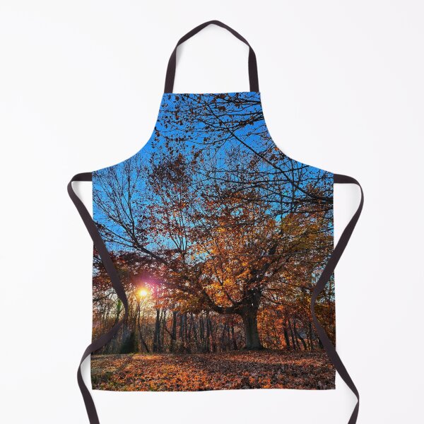 Item preview, Late Autumn Forest Sunset Photograph designed and sold by TwistedP-Photos.