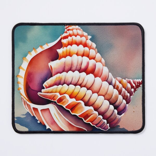 Item preview, Conch Shell designed and sold by BeachWhisper.