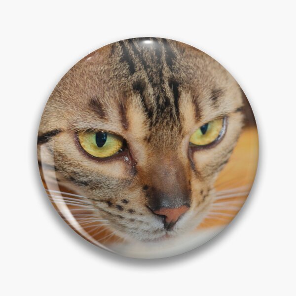 Artikelvorschau, Neugierige, faule Bengalkatze - Tigger entworfen und verkauft von myhuskymax.