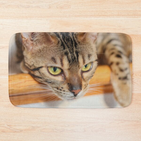 Item preview, Gato de Bengala curioso y perezoso - Tigger designed and sold by myhuskymax.