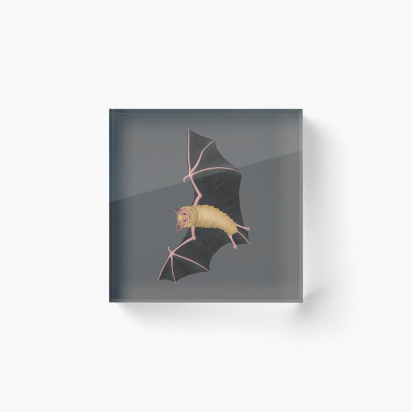Item preview, Tricolored Bat designed and sold by SadieLouHays.