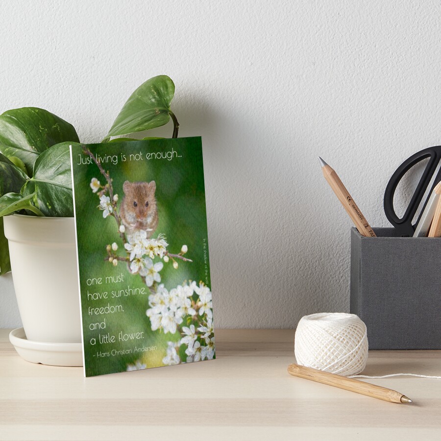 A little flower Art Board Print