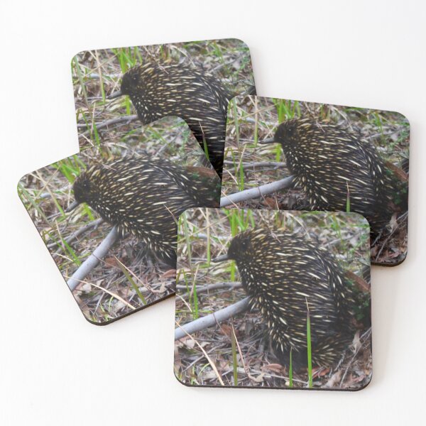 Item preview, Echidna in the Bush! designed and sold by Mickangelhere.