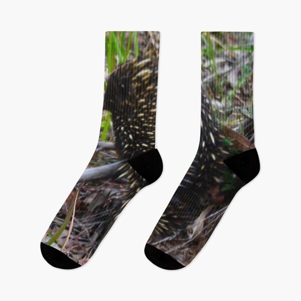 Item preview, Echidna in the Bush! designed and sold by Mickangelhere.