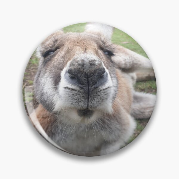 Item preview, Funny Kangaroo Australia G'day Mate Australian Cute Funny Animal Photo designed and sold by ZedOhEe.