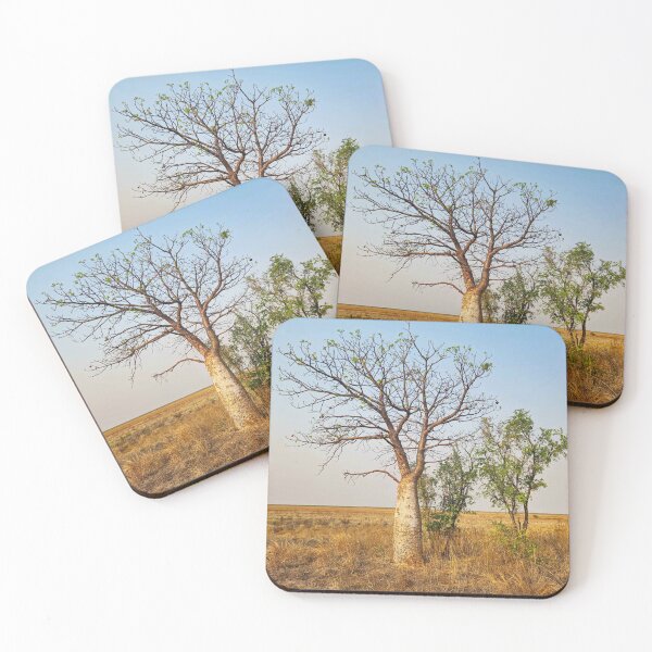 Item preview, Derby Baobab  designed and sold by Elliot62.