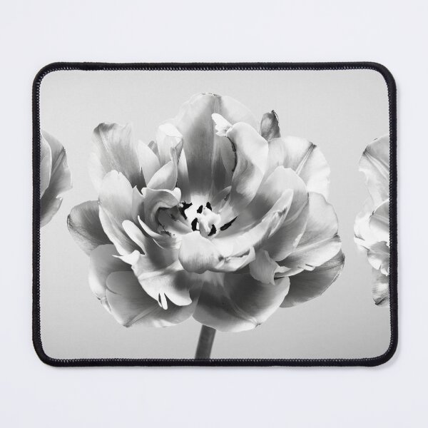 Item preview, Three Tulips designed and sold by assaf.