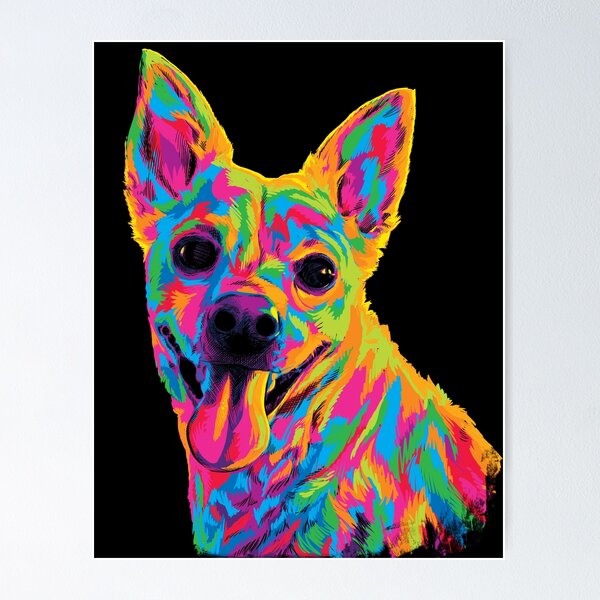 Rainbow Adorable Mutt Dog