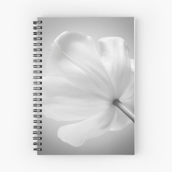 Item preview, White tulip designed and sold by assaf.