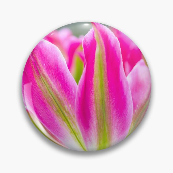 Artikelvorschau, Bunte Tulpen-Extravaganz entworfen und verkauft von assaf.