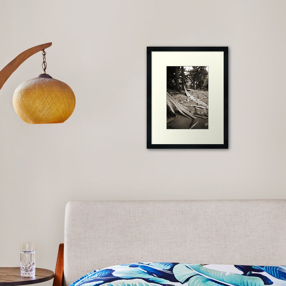 Walkway Framed Art Print