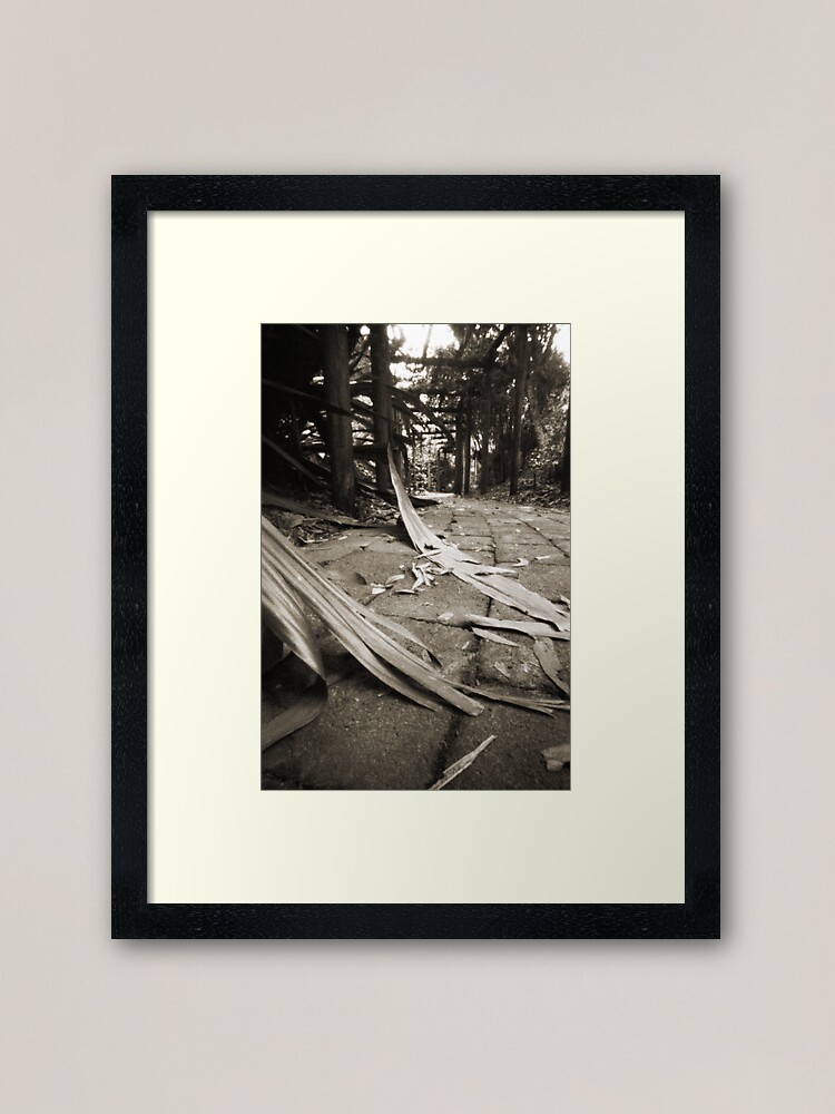 Alternate view of Walkway Framed Art Print