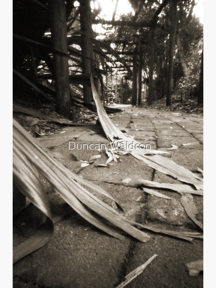 Walkway by DuncanW