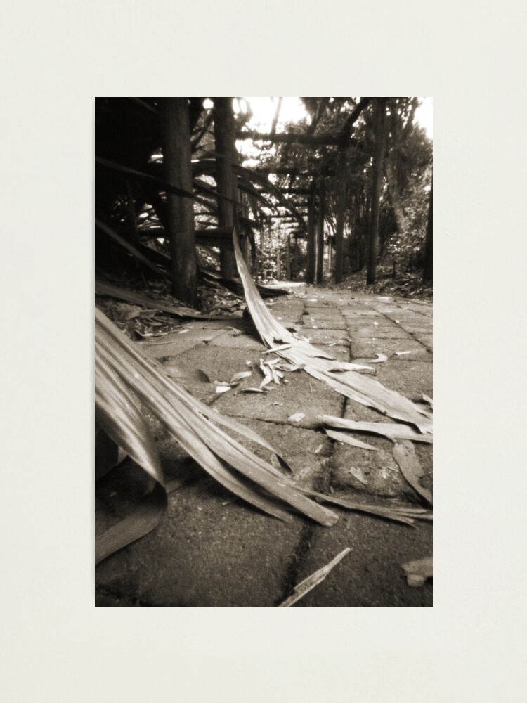 Alternate view of Walkway Photographic Print