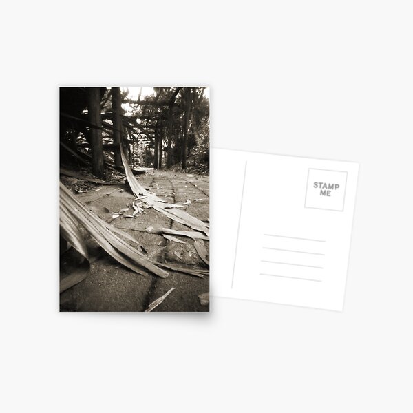 Walkway Postcard