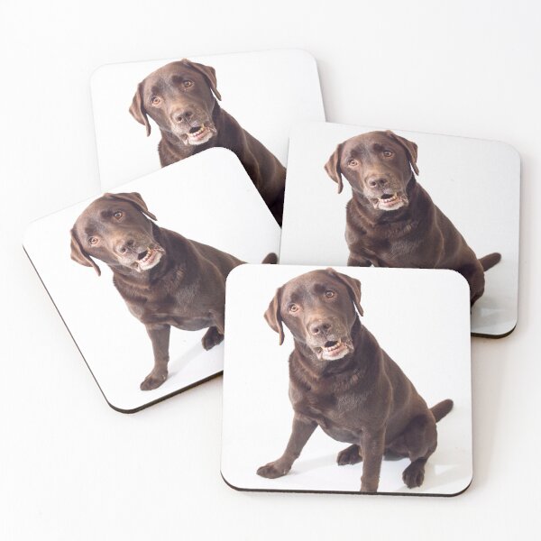 Item preview, Brown Labrador designed and sold by assaf.