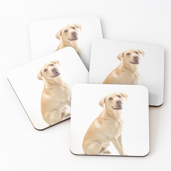 Item preview, Golden Labrador designed and sold by assaf.