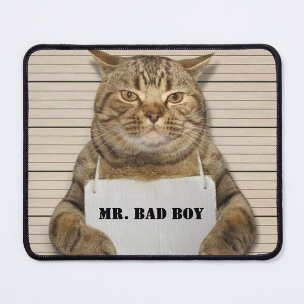Item preview, Cat Criminal designed and sold by MorningFive.