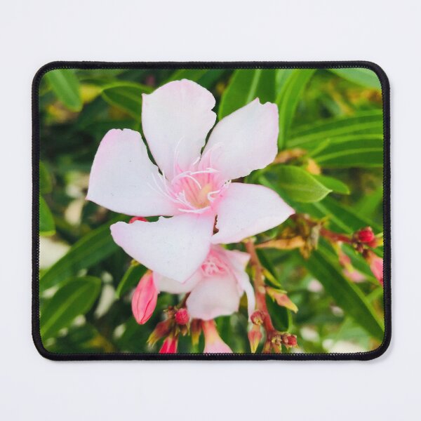 Item preview, Fairly Queens Hairpin ;0) designed and sold by NatureSoReal.
