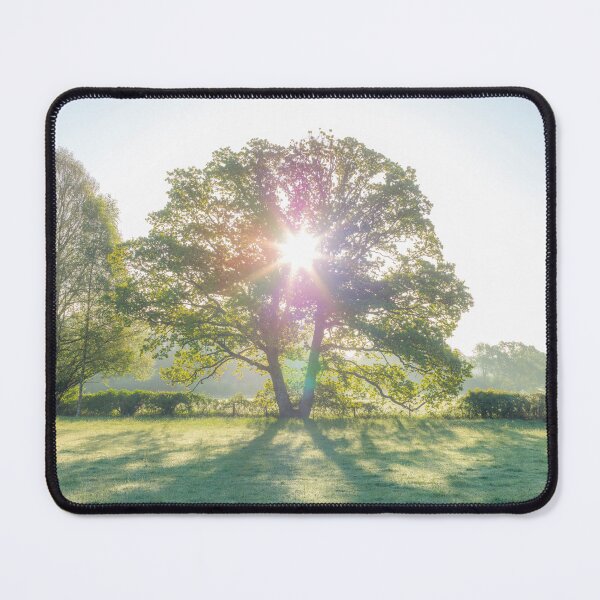Item preview, Sun burst through a tree designed and sold by assaf.