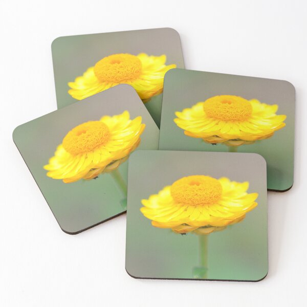 Item preview, Stunning golgen Strawflower flower  designed and sold by IPPhotography.