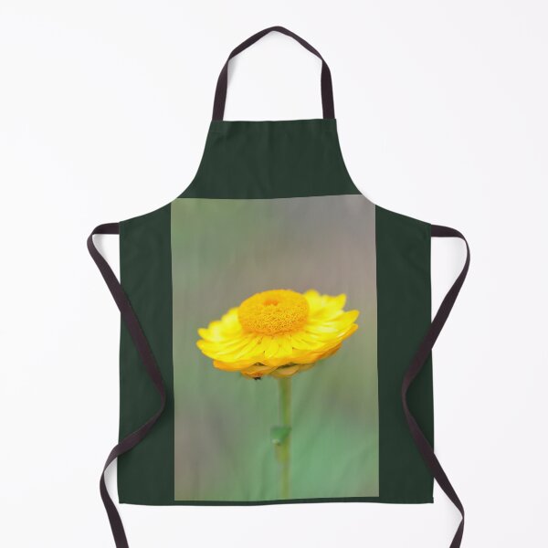 Item preview, Stunning golgen Strawflower flower designed and sold by IPPhotography.