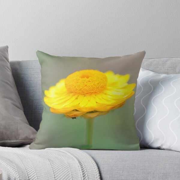 Aperçu de l'œuvre Superbe fleur de paille dorée créée et vendue par IPPhotography.
