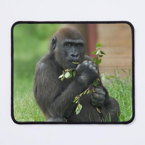 Item preview, Cheeky Gorilla Lope designed and sold by rawshutterbug.