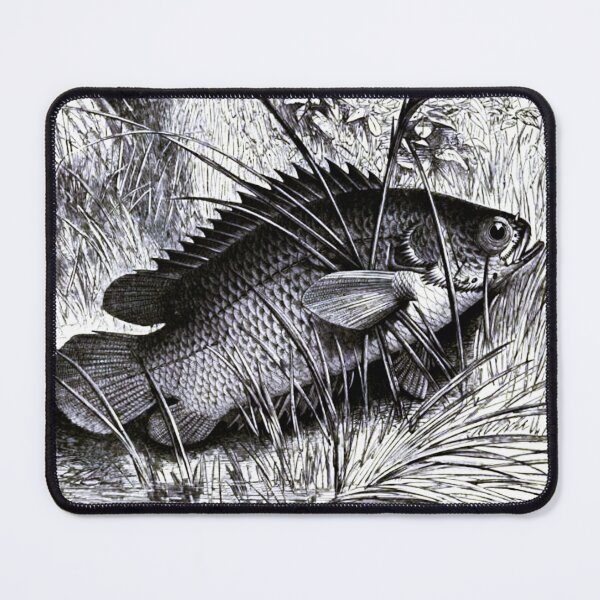 Item preview, Climbing perch designed and sold by Francespoppy.