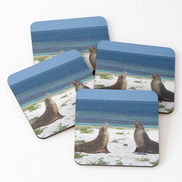 Item preview, Sea Lions in Australia-at Abrolhos Islands, WA designed and sold by Speedy.