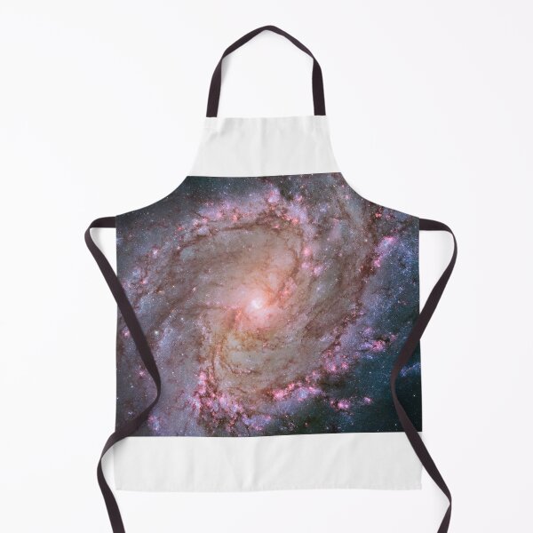 Artikelvorschau, STK204317S-Barred-Spiralgalaxie Messier 83. entworfen und verkauft von StocktrekImages.