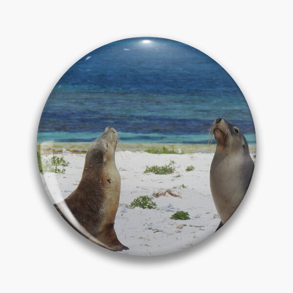 Item preview, Sea Lions in Australia-at Abrolhos Islands, WA designed and sold by Speedy.