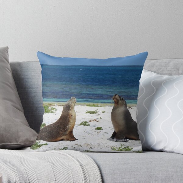 Item preview, Sea Lions in Australia-at Abrolhos Islands, WA designed and sold by Speedy.