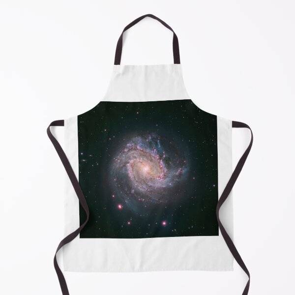 Artikelvorschau, STK204318S-Barred-Spiralgalaxie Messier 83. entworfen und verkauft von StocktrekImages.