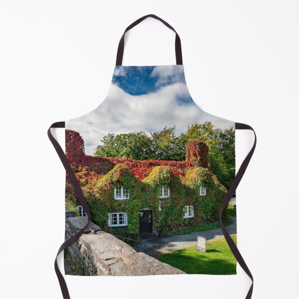Item preview, Llanrwst Autumn Cottage Wales designed and sold by AJEvans.