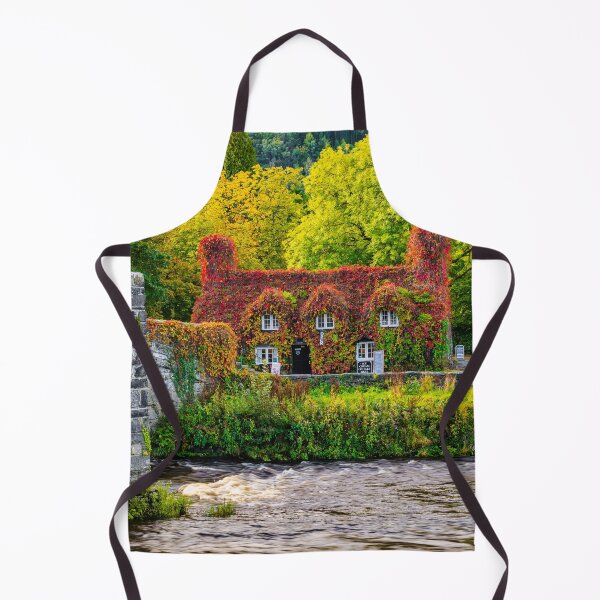 Item preview, Llanrwst Ivy Cottage designed and sold by AJEvans.