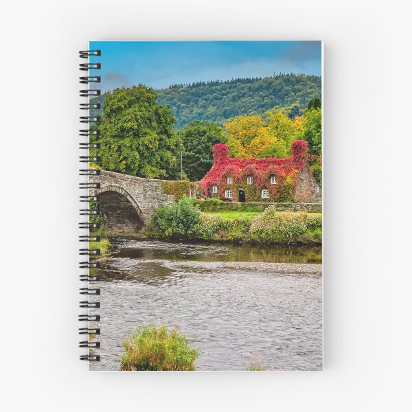 Item preview, Llanrwst Bridge and Tea Room Panorama designed and sold by AJEvans.