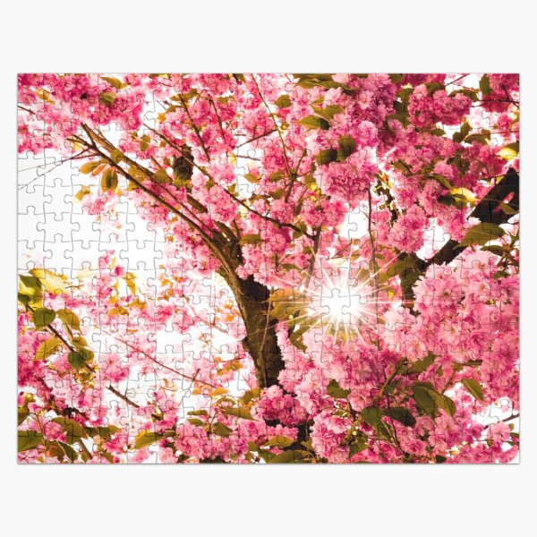 Art Box Magic Bloom Mini Sakura Tree - Magic Bloom Mini Sakura Tree . shop  for Art Box products in India.