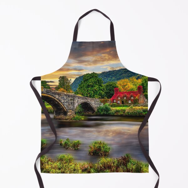 Item preview, Llanrwst Bridge and Ivy Cottage designed and sold by AJEvans.