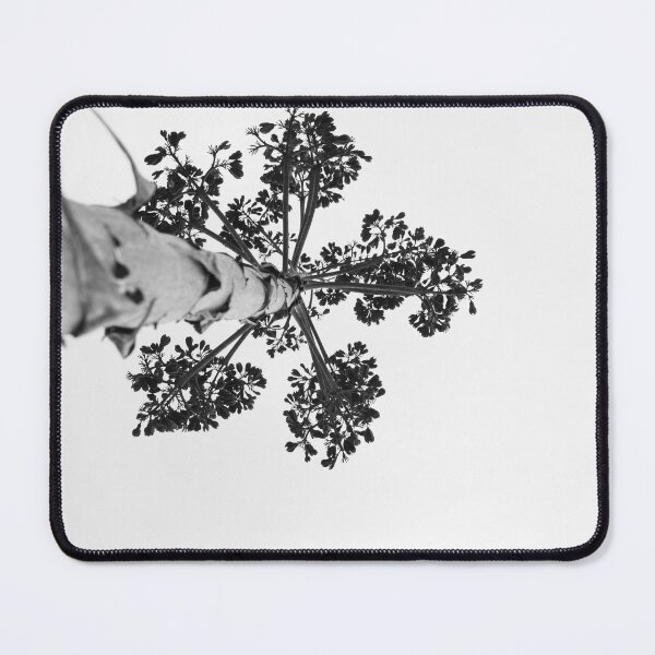 Item preview, Black and white shot of Agave salmiana vertical floral stem in silhouette. Low angle view. designed and sold by kristofbellens.