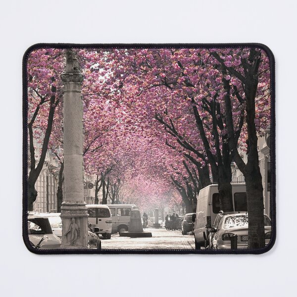Item preview, Famous street in Bonn, Germany Cherry Blossoms in Spring, portrait format designed and sold by VictoriaBonn.