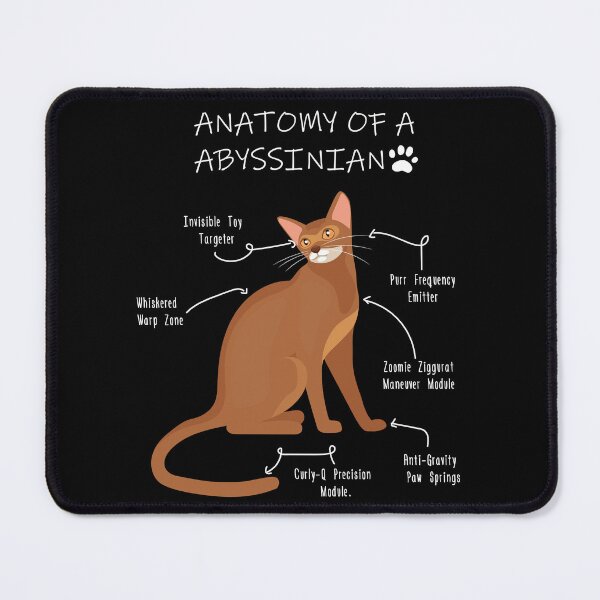 Item preview, Anatomy of Abyssinian designed and sold by Petensity.