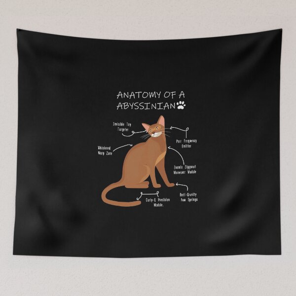 Item preview, Anatomy of Abyssinian designed and sold by Petensity.