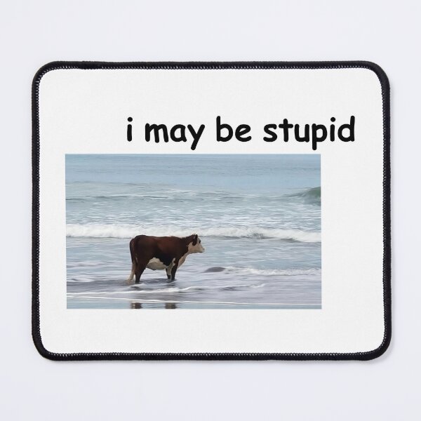 Item preview, I May Be Stupid Cow Beach Meme designed and sold by fomodesigns.