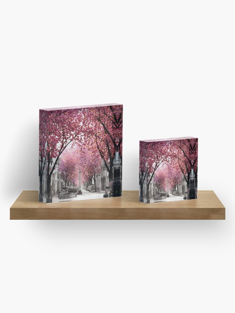 Thumbnail 4 von 5, Acrylblock, Kirschblüte Bonn, Bester Tag im Frühling designt und verkauft von VictoriaBonn.